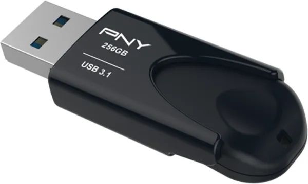   256GB PNY Attach? 4 (FD256ATT431KK-EF) (USB 3.1),      