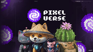 Pixel Verse