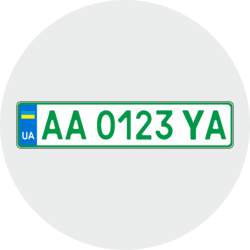 Дублікат автономера на електромобіль